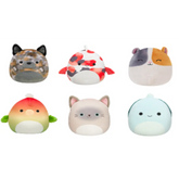 Squishmallows 6 Styles Asst Pack